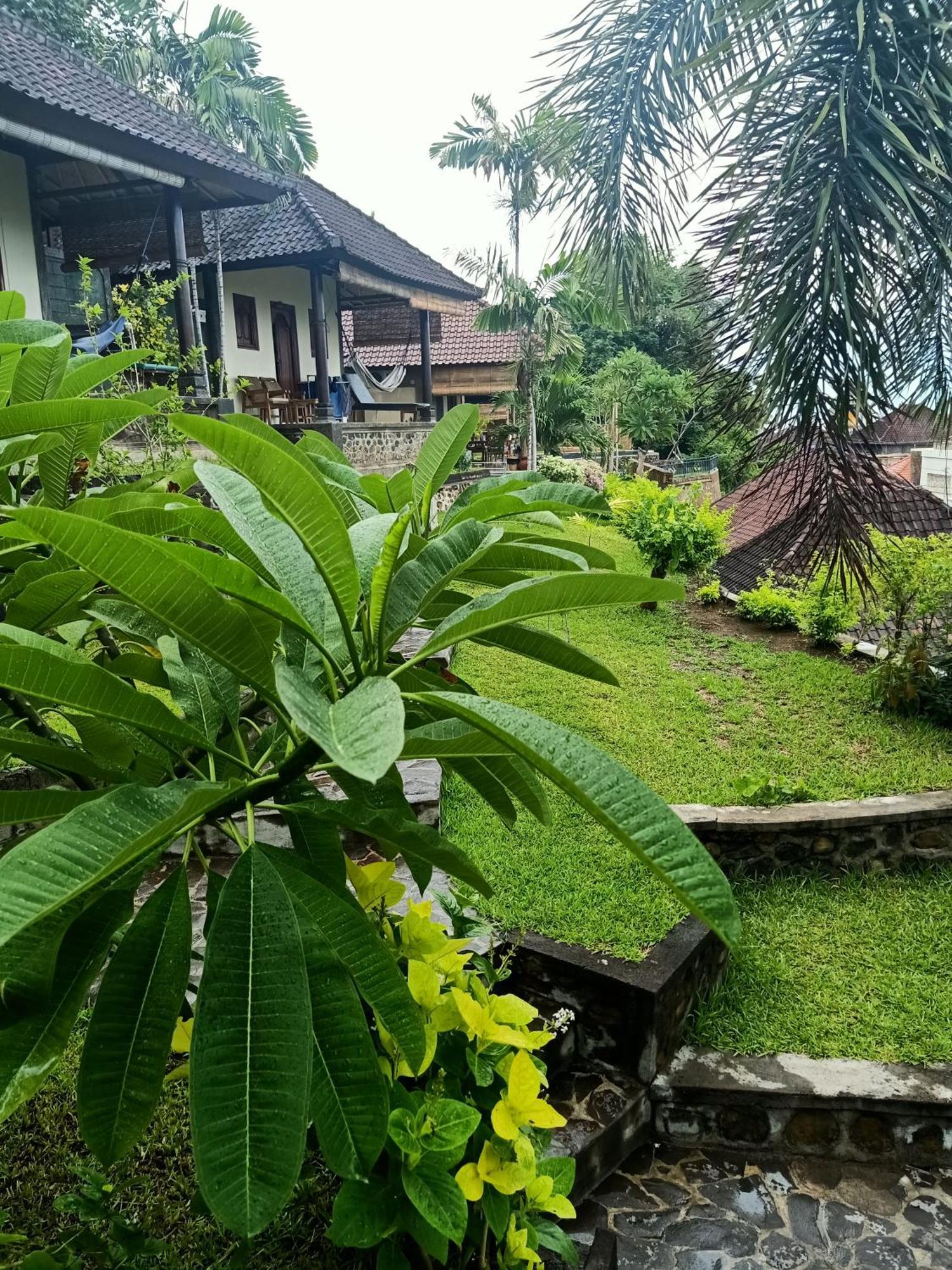 Bamboo Bali Lägenhet Amed Rum bild